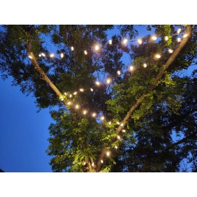 12V RGBW string lights in a backyard tree at dusk